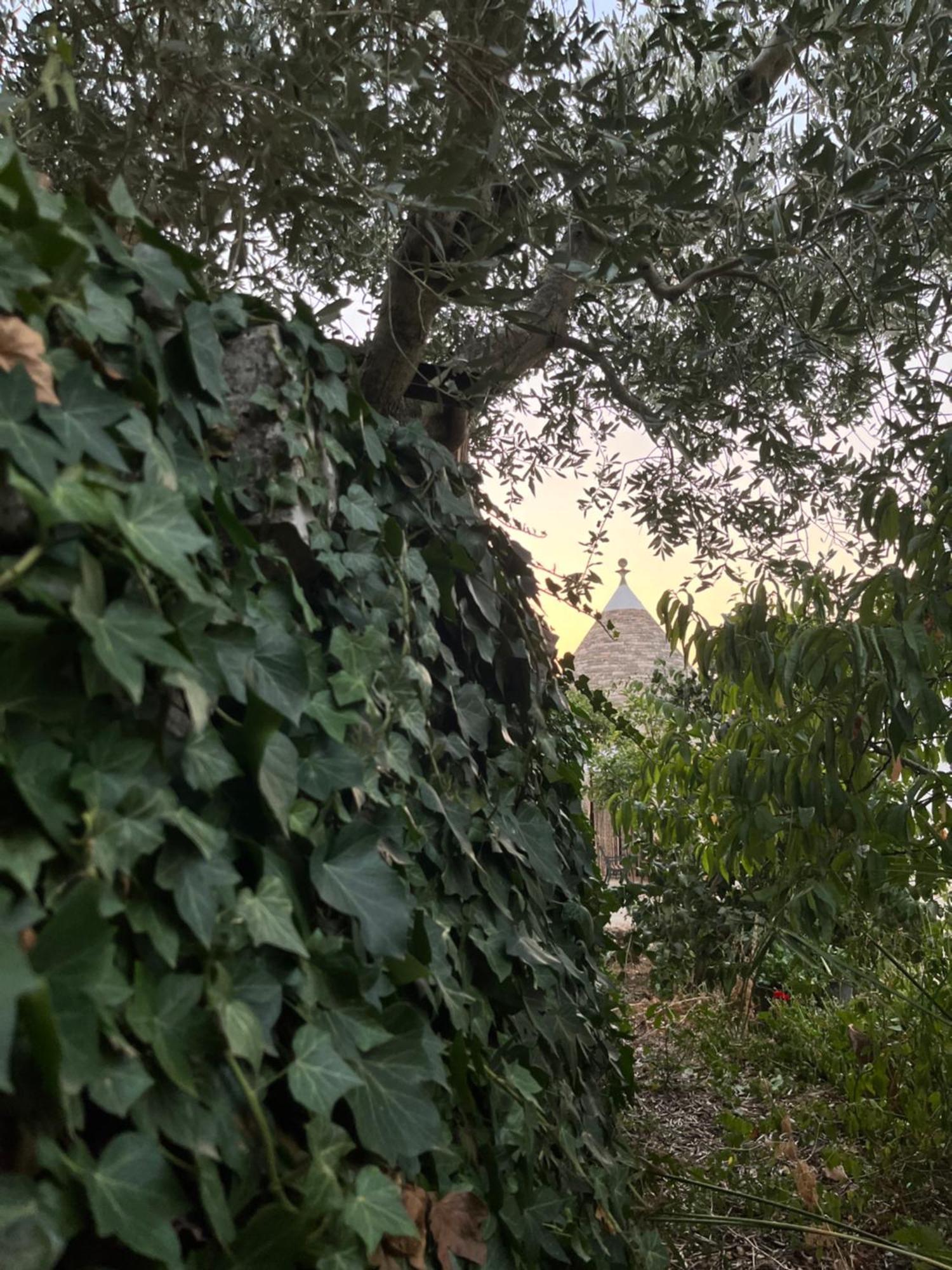 Borgo Miceli Da Giovanni Локоротондо Екстериор снимка